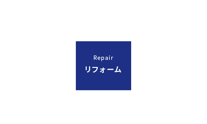 3bnr_repair_text